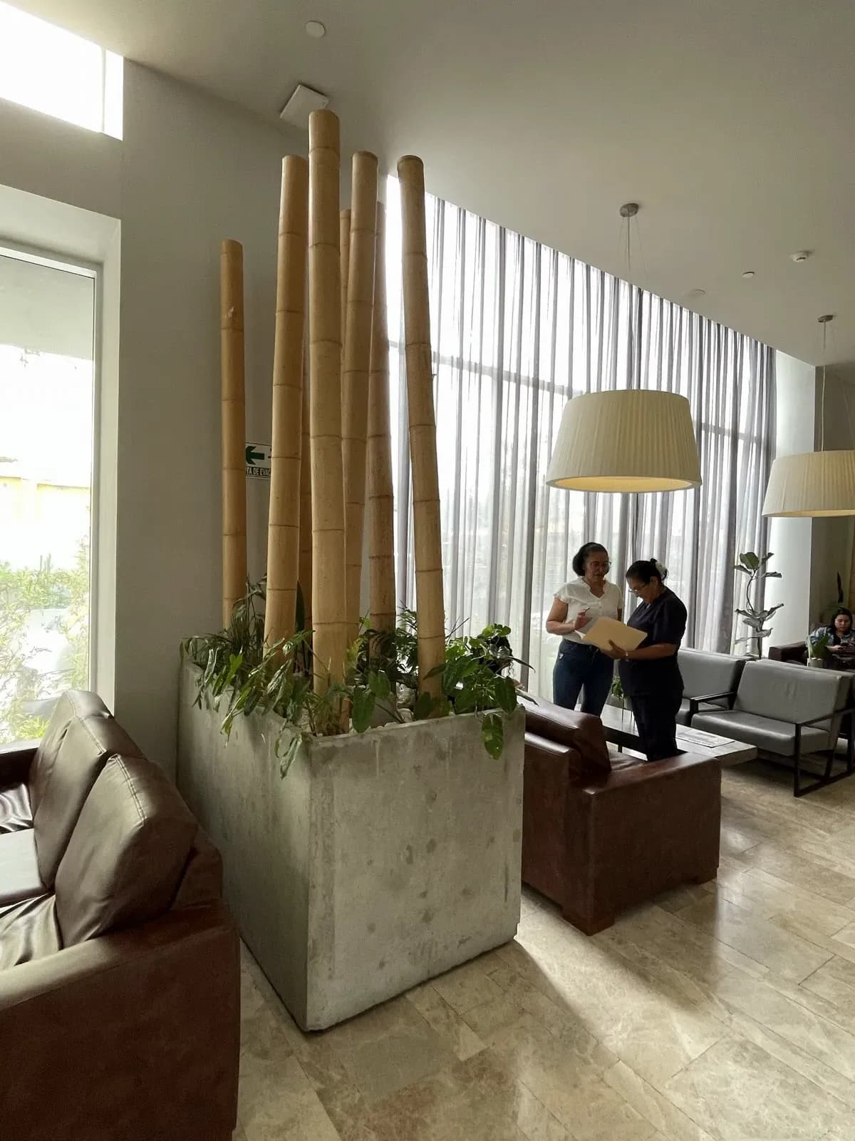 Bamboepalen tuin & landschap – 7 tot 9 cm